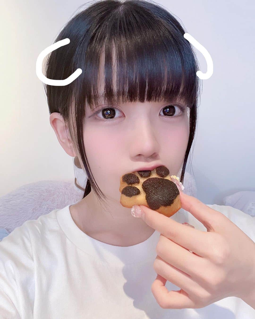 のインスタグラム：「もちもちわんわんっＧ(  U 'ᴗ' )_👍🏻」