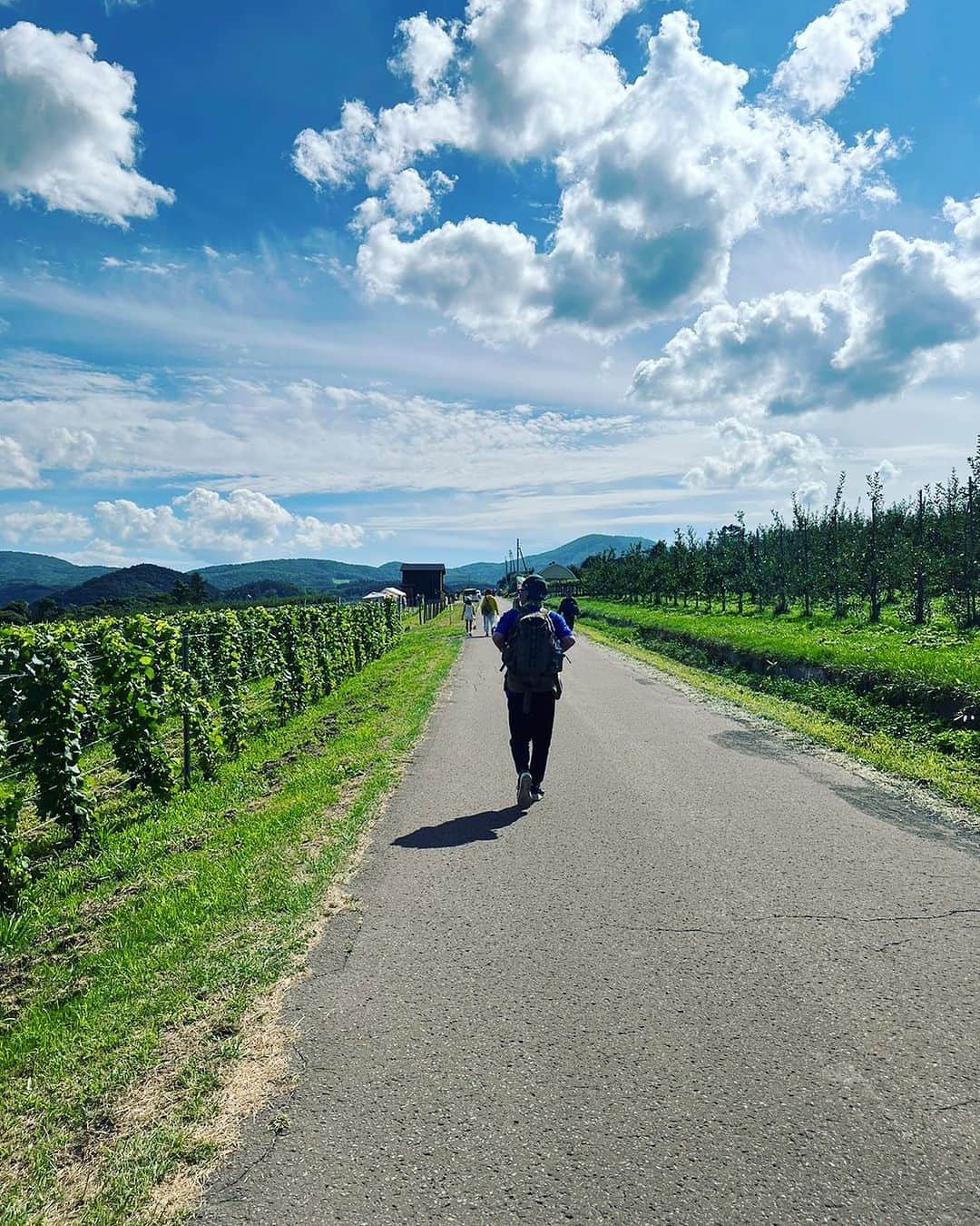 ひぐち君さんのインスタグラム写真 - (ひぐち君Instagram)「北海道新聞にて コラム 【余市町ワイン大使のひぐち君です】 最終回の16回目は、 "La Fête des Vignerons à YOICHI 2023" について書かせていただきました✏️ ぜひご覧くださいませ🍷🍷 #lafêtedesvigneronsàyoichi  #ラフェトデヴィニュロンアヨイチ  #農園開放祭 #余市ラフェト #ラフェト #ラフェト2023 #余市町ふるさと納税  #北海道 #余市町 #登町  #日本ワイン 🇯🇵 #japanesewine #vinjaponais  #일본와인 #日本葡萄酒  #wine #vin #vino #wein #vinho  #와인 #葡萄酒 #ワイン #余市町ワイン大使 🍷 #北海道新聞 📰 北海道新聞デジタル↓ https://www.hokkaido-np.co.jp/article/913705/ #髭男爵ひぐち君の語る日本ワインサロン 🥂 https://amzn.to/3DBTsSl #ひぐち君の日本ワイン会  https://bit.ly/2KJ9DQy @higehiguchi」9月24日 0時06分 - higehiguchi