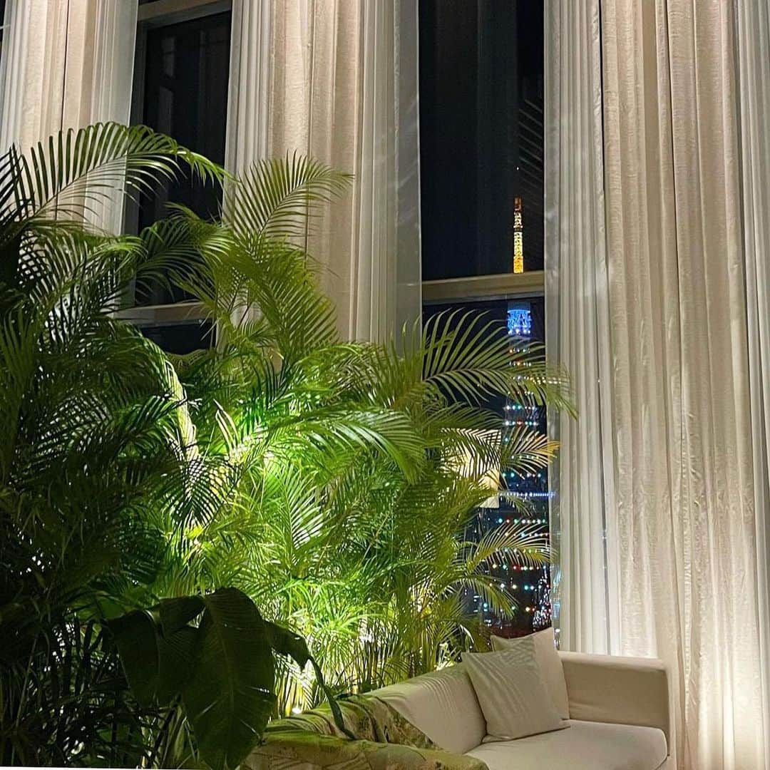 夢花のインスタグラム：「🗼✨🌿」