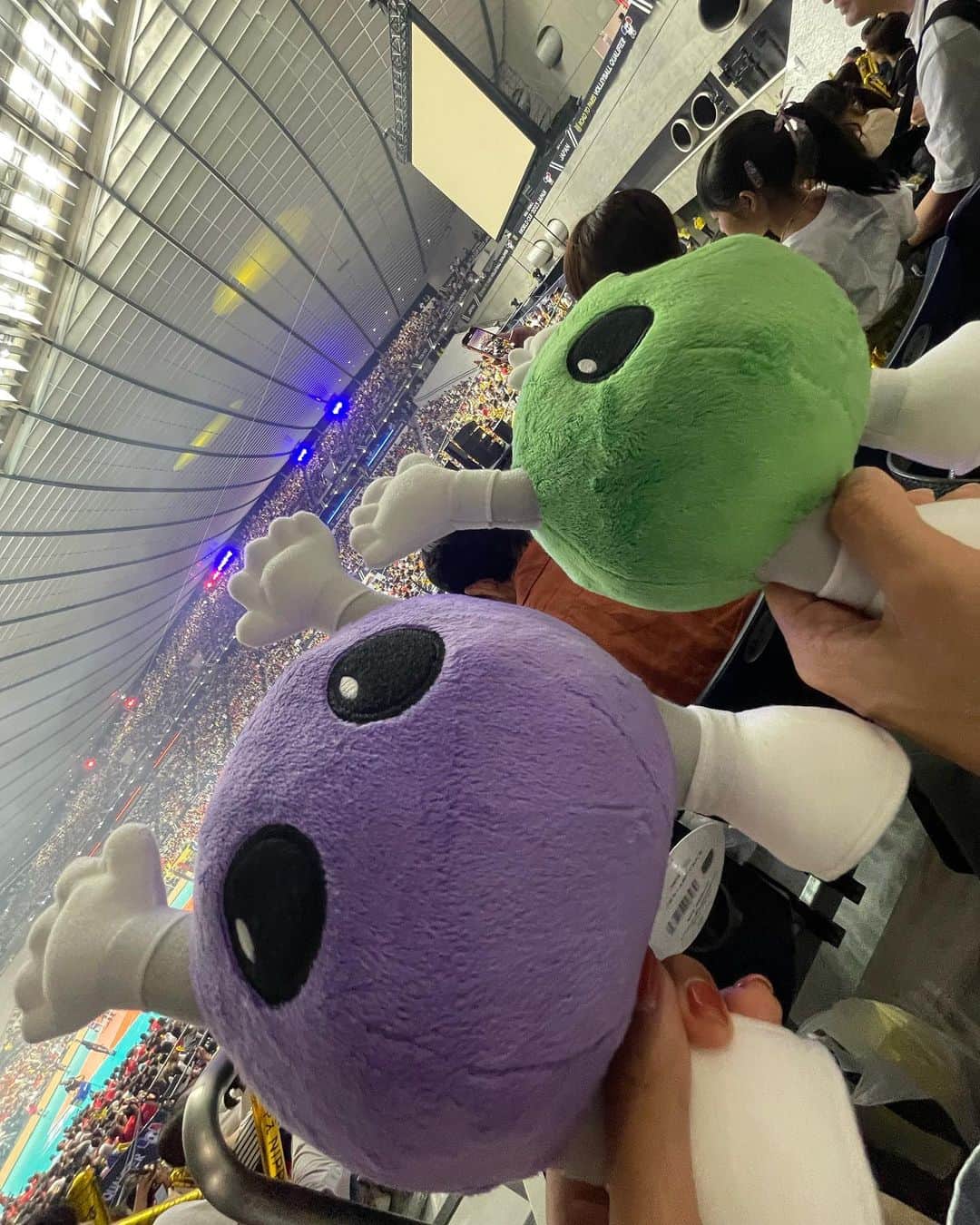 藤井マリーさんのインスタグラム写真 - (藤井マリーInstagram)「🏐🇯🇵  「FIVBパリ五輪予選 / ワールドカップバレー2023」 #火の鳥NIPPON 第6戦の応援にいきました〜！  Vリーグは毎年ちょこちょこ見に行っていたけど、世界戦は４年ぶりくらい🫡  チケット２枚とってから友達いないの気づいてめみさんを巻き添いに…笑  開幕5連勝と快進撃を続けるニッポン女子 対戦相手は世界ランク1位強豪トルコ🇹🇷  第一セットの流れはすごく盛り上がりましたね👏 第二セット以降はトルコの勢いがとまらず初黒星となりましたが、やっぱりバレーボール観戦は観客の一体感があってとっても楽しい🥹✨  明日は強豪ブラジル戦🇧🇷勝てばパリ五輪出場〜！！がんばれにっぽん！！  いつもお世話になっているオリエンタルバイオ株式会社さまの広告もみられて、試合前にはμ'sが演奏しているCMも流れて嬉しかったです🤭🤍  #バレーボール #ワールドカップバレー  #パリ五輪予選 #バボちゃん 買った」9月24日 0時12分 - fujimary_6