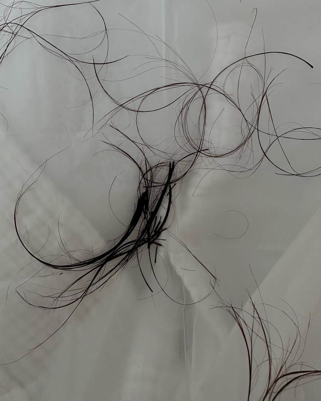 エイドリアン・バイロンさんのインスタグラム写真 - (エイドリアン・バイロンInstagram)「chop chop ✂️ @cherilynrachelle  —ok it seems more dramatic than it was… lol. but i am so obsessed with my curtain bangs & layers… also currently known as the “hush cut”.  question? are we into the darker hair? or should i add a little bit of caramel highlights for the fall?  let me know! 👇🏽 besos xx」9月24日 0時18分 - adriennebailon