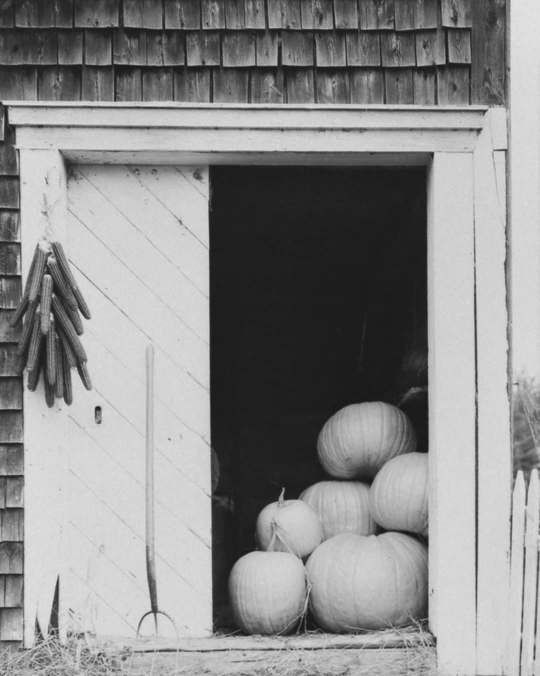 lifeのインスタグラム：「It’s officially the first day of Fall! (Well, at least for those of us in the Northern Hemisphere).   We hope you celebrate with all of the cozy sweaters, PSL’s, and autumn decor your heart desires!   (LIFE Picture Collection)   #LIFEMagazine #LIFEArchive #FirstDayofFall #Fall #Autumn #Pumpkins #NewSeason」