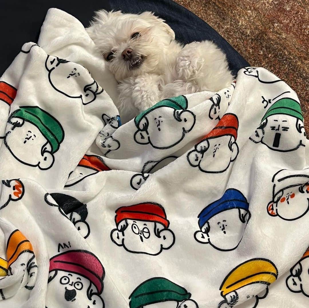Pirakoのインスタグラム：「🆕‼️」