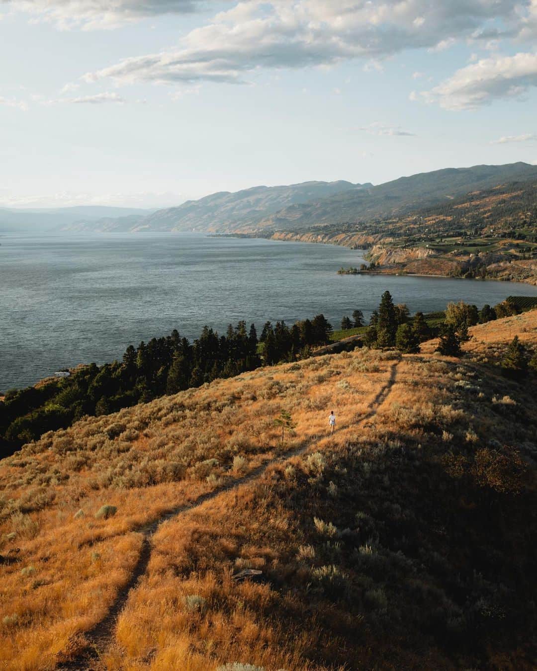 Explore Canadaのインスタグラム：「From vineyard strolls in the Okanagan to coastal adventures on Vancouver Island, discover the beauty of fall in BC: 🍂 Taking in the autumnal vistas of Penticton 🍷 Visiting wine country near West Kelowna 🌲 Cozying up in a cabin in Tofino 💨 Storm watching in Pacific Rim National Park #exploreBC #exploreBCnow #ExploreCanada  Credit: @mikeseehagel, Penticton @vancouverfoodie, West Kelowna @duffincove, Tofino @russell.depeel, Pacific Rim  While this summer brought immeasurable challenges to many communities in British Columbia, the province is open for travel and ready to welcome guests. Visit, meet the locals, and plan to stay — there’s no better way to help BC communities than by exploring BC.  Image Descriptions: Photo 1) An aerial view of a person walking through the golden hills of a valley. A vast body of ocean water sits in the distance. White clouds drift past the pale blue sky. Photo 2) A woman with a large red hat is sitting on a green hill overlooking a large field. A gathering of houses crowds the shoreline. In the background, brown forested mountains are seen across from the water. Photo 3) A sleek, black cottage sits at the edge of a rocky shoreline. Tall, green trees surround the house. In the distance, a hazy outline of the forest rests atop calm lake waters. Photo 4) Deep turquoise waves crash against a dark, rocky shoreline. A forested horizon rests below gloomy skies.」