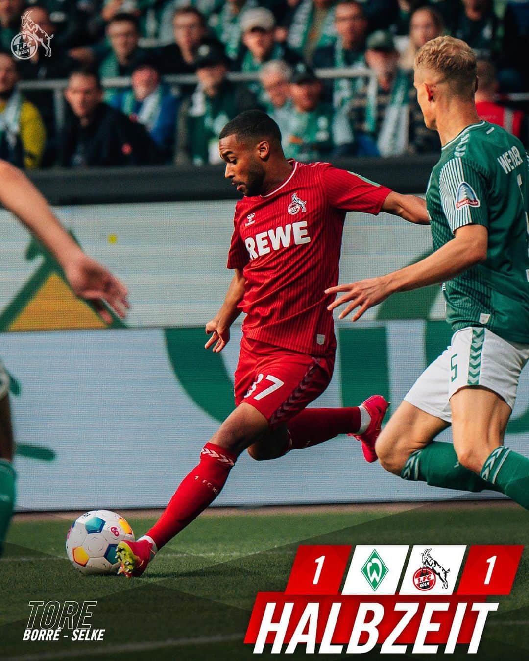 1.FCケルンのインスタグラム：「1:1 zur Halbzeit. Davie Selke hat für uns getroffen. Hier ist 𝘼𝙇𝙇𝙀𝙎 drin. COME ON, EFFZEH! ❤️‍🔥  ___ 🐟 1:1 🐐 (45.) #SVWKOE #effzeh」