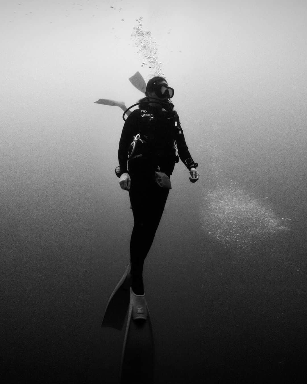 Laila Boonyasakのインスタグラム：「The ocean is full of surprises let’s explore!! @diveteam_th  #maldives #scubadiving 🪼🐠🐳🐬🐋🐡🦑🐙」