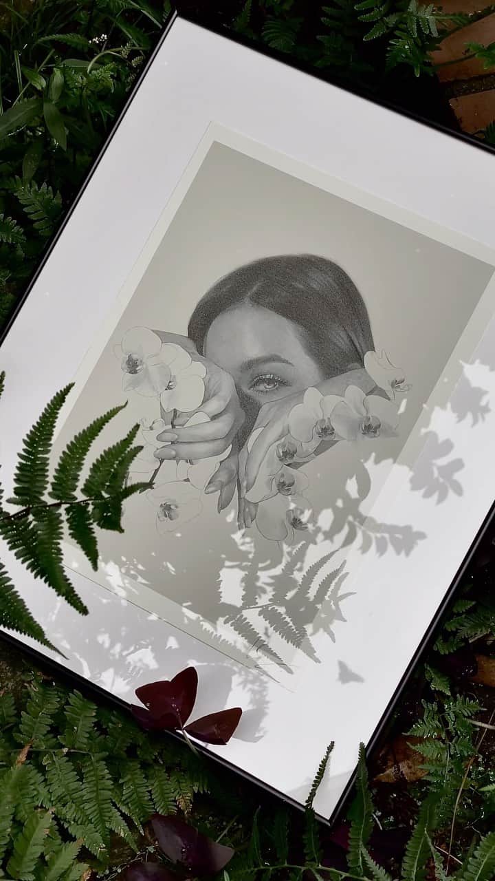 目黒ケイのインスタグラム：「Edit: Sold Out Due to the urgency and lack of time to prepare, there was a very small run of the “Orchids for Maui” limited edition prints in my previous drop. Very grateful they sold out overnight but felt regretful for everyone who emailed/dm’ed saying it was taken from their cart.  Today we were able to add a couple of extra prints, link is bio or head over to keimeguro.com/shop - This is a limited run and will be the last sale. Proceeds will be donated directly to the Maui Food Bank and Maui County Strong Fund.   Sidenote: Anyone notice the sweet visitor who made their cameo?🦋🌿  ｰ  Ever since the hurricane-fueled fires broke out in Maui, thousands of people have been affected in the past week+. I have been scrambling to figure out what we could do as a community. In many cultures worldwide, orchids represent ‘love’ - this is something we could collectively offer to the people of Maui during this difficult time. If you have vacationed to Maui and benefited from the beauties of the island and the communities like I have, now is the time to give back - please consider donating and/or sharing. Please see my previous reel and post for more details.  I appreciate everyone who has purchased a print to help.🤍 プリント購入していただき本当に感謝しております。売上は上記のファンドに寄付致します、皆様の想いも込めて。  #maui #orchids」