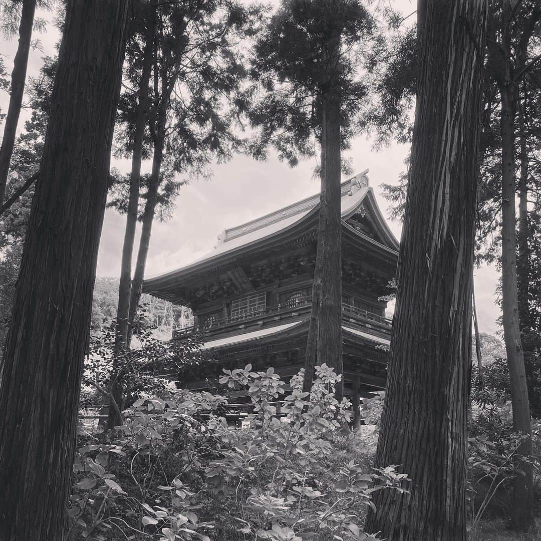 松田洋治のインスタグラム：「北鎌倉。」