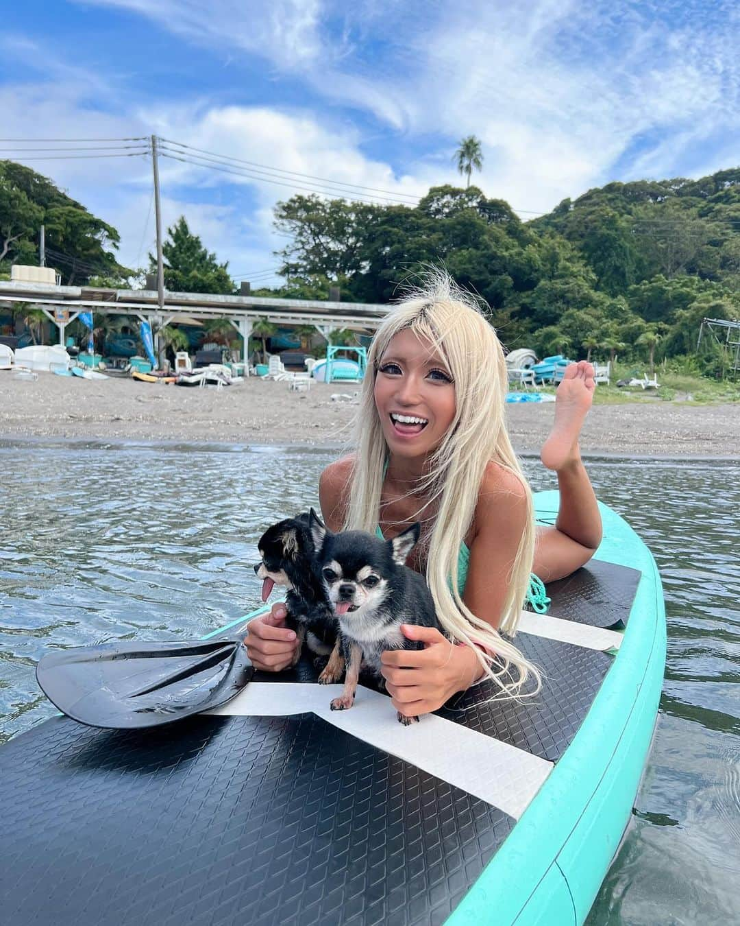 やよさーんのインスタグラム：「. わんちゃん達とsup🏄‍♀️🐕🩵 わんちゃん達と海はこれ以上ない幸せやぁ😍😍 いつか一緒に沖縄の海に行きたい🐕🏖️ . . #sup #supdog #dogsup #サップ #サップボード #surfsup #surfing #surfinglife #amazing #海好きと繋がりたい #湘南ライフ #犬とおでかけ #わんこと旅行 #わんことお出かけ #chihuahua #dog🐕#beachlife #beachyoga #beachshoot#チワワのいる暮らし」