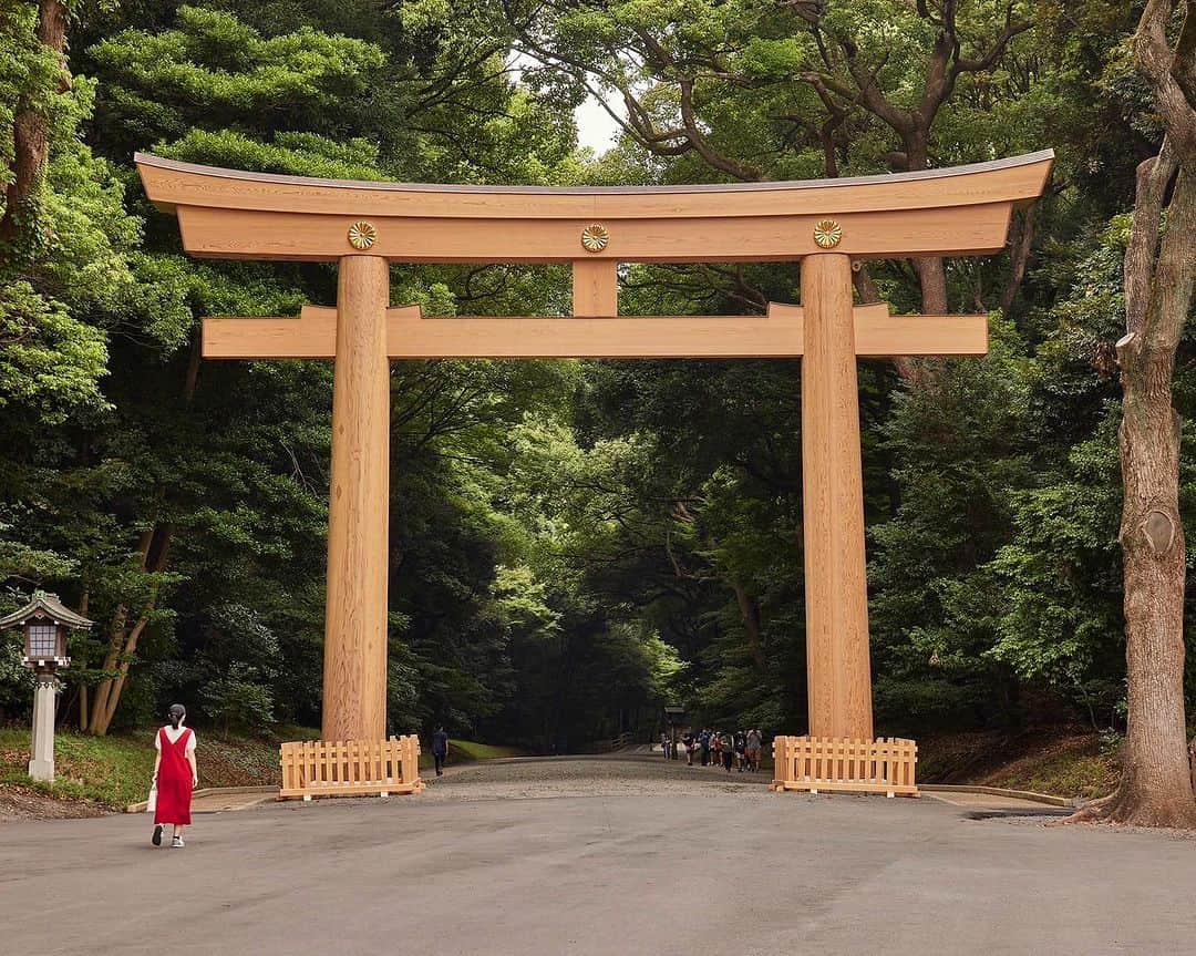 The Peninsula Tokyo/ザ・ペニンシュラ東京さんのインスタグラム写真 - (The Peninsula Tokyo/ザ・ペニンシュラ東京Instagram)「ホテルを拠点に東京の観光スポットを巡ってみませんか。たくさんのパワースポットで有名な明治神宮もその一つ。自然豊かな都会のオアシスですね🌱皆さま、どうそ素敵な日曜日を♩  Explore and rediscover Tokyo: Meiji Jingu is a spot that will take you to Japan's history and beauty of nature. Walk through the Torii gate, take a moment of quiet reflection, and enjoy the tranquil atmosphere.」9月24日 13時11分 - thepeninsulatokyo