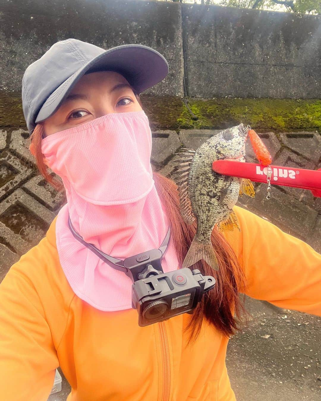 金田彩奈のインスタグラム：「‪🎣‬  初✨ チヌ＆メッキ🐟  まだ小さくて可愛かった👶🏻  #バイク #バイク女子 #バイク乗り #バイクのある生活 #バイクのある風景 #バイク好き #バイクが好きだ #バイク好きな人と繋がりたい #バイク乗りと繋がりたい #バイク旅 #バイクツーリング #バイクが好きだ #カブ #スーパーカブ #アングラー #釣り女子 #釣りガール #cub #supercub #cb400 #gsxs1000gt #bike #bikelife #biker #bikegirl #motercycle #bikeweek #bikewear #angler」