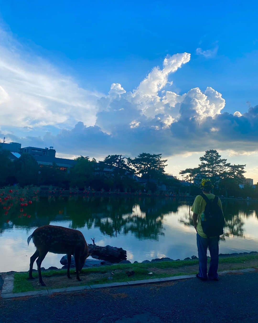 のインスタグラム：「東西南北 　画竜点睛 　　彼方此方  1. 猿沢池園地 2.HIROSUKEさん #BALZAC 3.某鐘 4.伊賀上野城 5.HIDADDY #韻踏合組合 6.宮津湾 7. mripple 鋲ベル 8. 元祖大四畳半大酒場ポン 9.Anarchy 10.Geekalump & ヨルゲッカ」