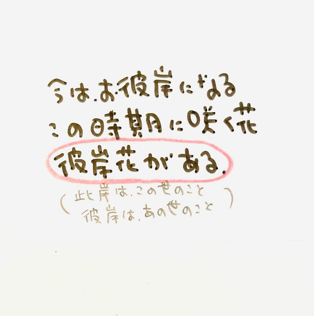 のぶみさんのインスタグラム写真 - (のぶみInstagram)「【コメントお返事します📝】  投稿は、もちろん人によります😌 一人一人違うから そんなこともあるのかって 気楽に読んでね😊 Q 爆弾になったひいじいちゃん読んだことある？  ある ない その他  ⭐️ 絵本 爆弾になったひいじいちゃんは、 戦争の話が苦手な人が 読める絵本  戦争の悲惨さじゃなく なぜ どんな気持ちで  戦争に行ったのか、を 描いている  是非、読み聞かせしてほしい一冊  ⭐️ しんかんせん大好きな子に 👇 しんかんくんうちにくるシリーズ　 　 おひめさまだいすきな子に 👇 おひめさまようちえん えらんで！  ちいさなこへ 👇 しかけのないしかけえほん からだをうごかすえほん よわむしモンスターズ  のぶみ⭐️おすすめ絵本 👇 うまれるまえにきーめた！ いいまちがいちゃん おこらせるくん うんこちゃんシリーズ  ⚠️ 批判的コメントは、全て削除します😌 弁護士と相談して情報開示します。 一言の嫌な気分にさせるコメントで 大変な問題になりますので、ご注意を。  #子育て #子育て悩み #ワーキングマザー #子育てママ #子育てママと繋がりたい #子育てママ応援 #男の子ママ #女の子ママ #育児 #子育てあるある #子育て疲れ #ワンオペ #ワンオペ育児 #愛息子 #年中 #年長 #赤ちゃん #3歳 #4歳 #5歳 #6歳 #幼稚園 #保育園 #親バカ部 #妊婦 #胎内記憶 #子育てぐらむ #親ばか #新米ママと繋がりたい」9月24日 7時36分 - nobumi_ehon