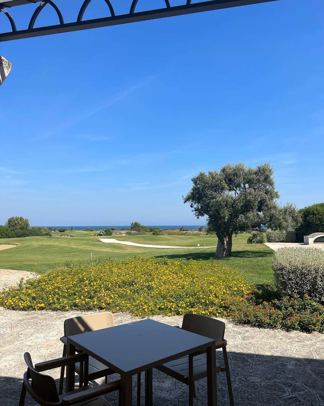 ImotoEtsuyo さんのインスタグラム写真 - (ImotoEtsuyo Instagram)「San Domenico Golf  サン·ドメニコ·ゴルフへ。 アドリア海の青々とした 海を目の前に伸び伸び ショット。  気持ち良かった。 ・ 今回の#presstrip では #golf をする機会も設けて頂きました。  ・ #イタリア でゴルフだなんて 一生の思い出です。 #ありがとうございました。 ・ #ゴルフウェア は @lanvin_sport_  また別投稿させて頂きます♪  ・ @sanmarzanowines  @sandomenicogolf   #sanmarzanowines #サンマルツァーノワイン #Puglia #プーリア #italianlifestyle #presstrip #winesharingbeauty #Puglianwine  #SanMarzanoWines #CantineSanMarzano #ゴルフ  #ゴルフ女子」9月24日 8時06分 - bisuhada