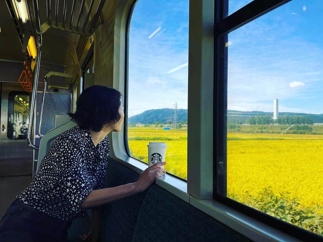 林千晶のインスタグラム：「電車で、秋田健湯沢市(一番南)から、青森県弘前市まで、4時間ちょっとの気長な一人旅。 両側が、黄金色に輝いています。」