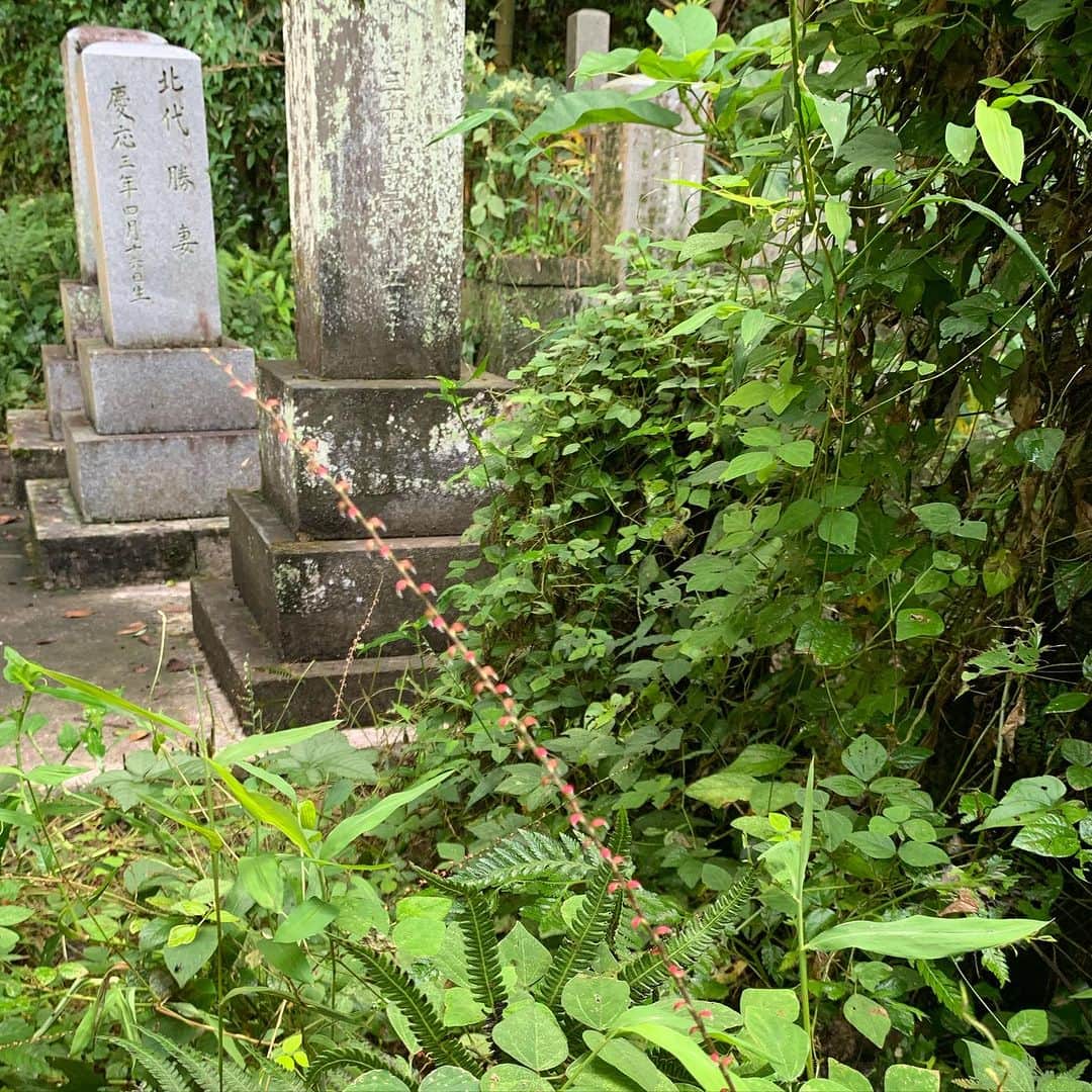 鈴木桃子のインスタグラム：「93才の伯父のお供をして父方のご先祖様のお墓参りをしつつ、高知へプチ旅行😊  #秋分の日 #お彼岸 #高知」