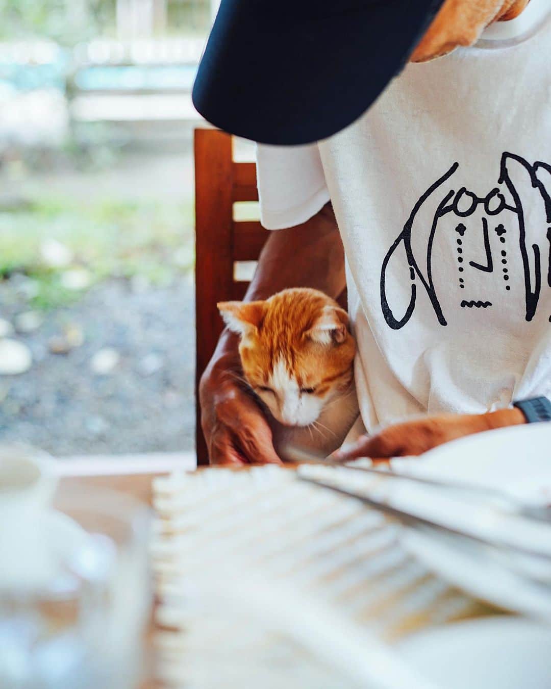 美紀のインスタグラム：「after breakfast  T👨🏽‍🦳❤︎Nana🐈 仲良し倶楽部  ピントがJohnに（笑）  フィガロジャポンUP↗︎ 9日間の旅ラスト バンコクのローカルフードと 絶品タイ料理綴ってます ストーリーのリンクからも！  みなさん、よいSundayをね☺︎  #mikitravel_thailand🇹🇭 #mikitravel_chiangmai2023 #miki_travel_life」