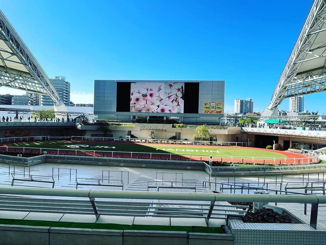 タケモトコウジのインスタグラム：「本日はこちら！ 良い天気です！   #阪神競馬場」