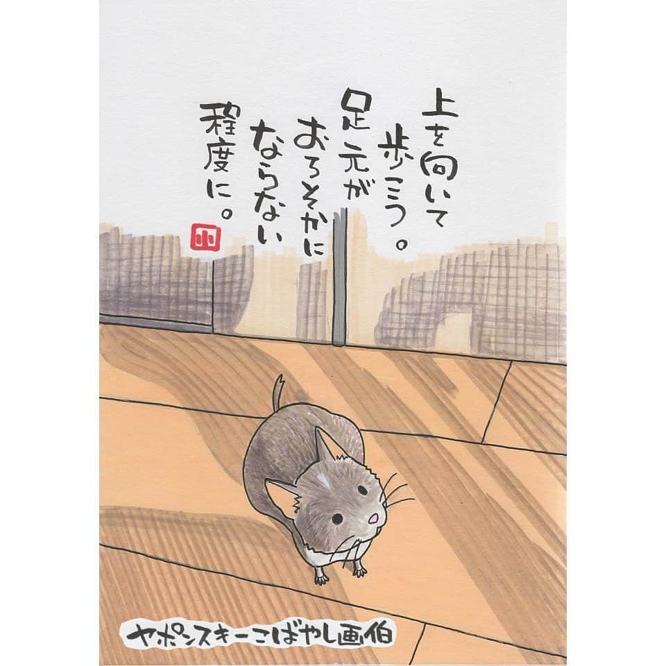 ヤポンスキーこばやし画伯さんのインスタグラム写真 - (ヤポンスキーこばやし画伯Instagram)「けもの日和 今日はchikakoさん家のペット わたげくんです。 デグーというネズミの仲間なんですって。 画像検索してみたんですが、めちゃくちゃかわいいです。 こんな子を知らずにいたことが悔しいです。 新発見なお写真をありがとうございます。  イラスト #ポエム  #イラストエッセイ #エッセイ #ヤポンスキー #ヤポンスキーこばやし画伯 #こばやし画伯 #芸人 #絵 #ポストカード #詩 #アート #言葉 #言葉の力 #人生 #生き方 #イラストグラム #イラストレーター #つぶやき #可愛い #前向き #ポジティブ #癒し #名言 #格言 #けもの日和」9月24日 9時34分 - kobayashigahaku