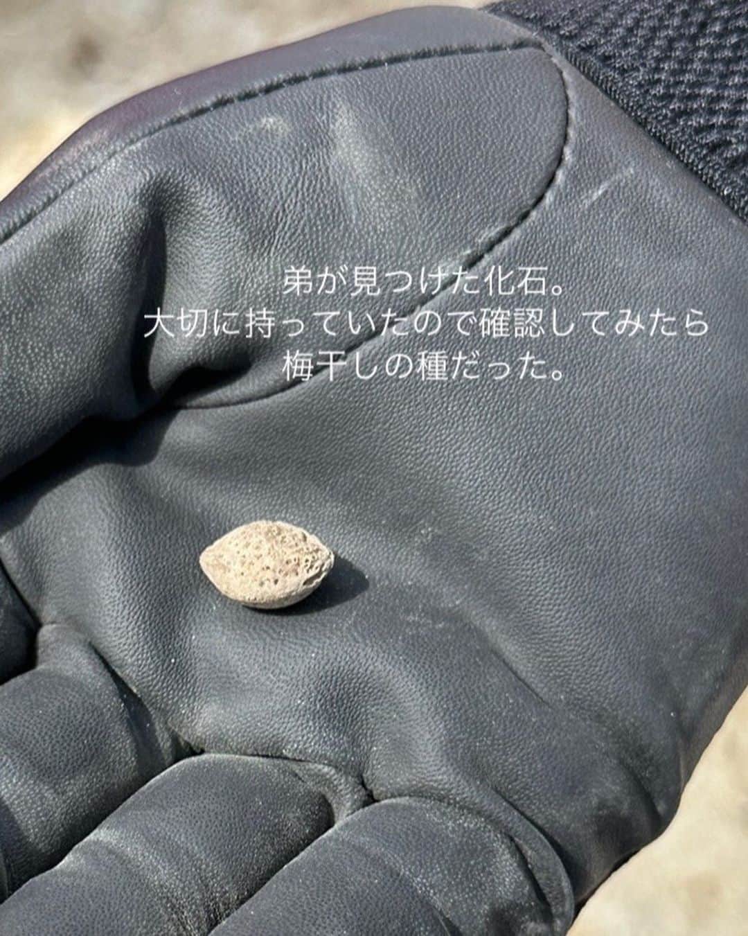 河村花さんのインスタグラム写真 - (河村花Instagram)「. 化石掘りに行ってきましたー！ 恐竜発見出来ず🦖」9月24日 11時22分 - hana_kawamura
