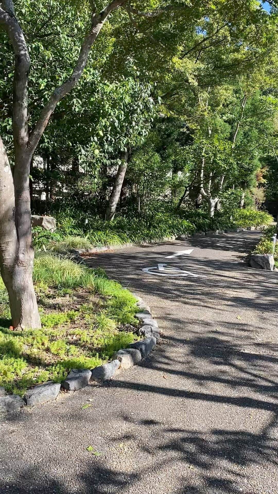 西川忠志のインスタグラム：「爽やかな朝  今朝は西川家の彼岸のお墓参りへ。  そして京都へ向かいます。  感謝 西川忠志」