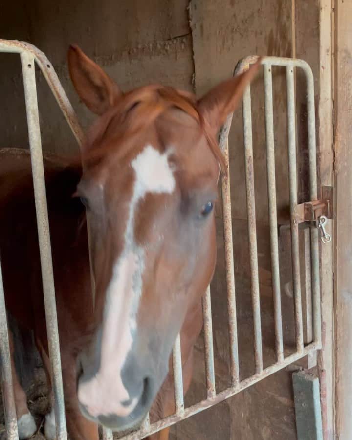 宮島三郎のグルメインスタ