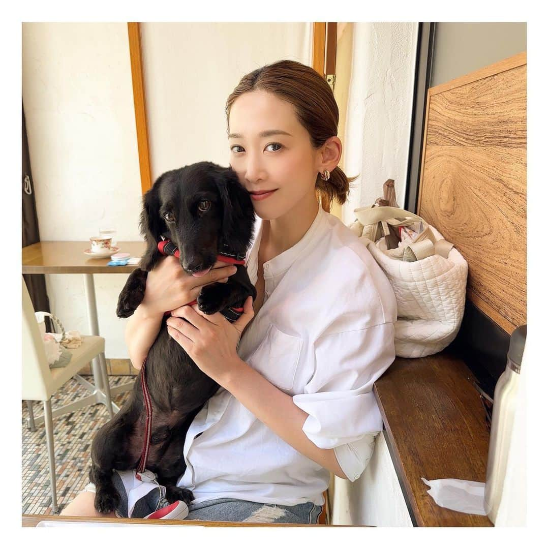 龍真咲さんのインスタグラム写真 - (龍真咲Instagram)「りーくんと🐶❤️  Babyも可愛いけど長男LICHTも可愛い🐶❤️  2人の時間も作ってます🫧  わんちゃんねこちゃんがいながらお子さんがいらっしゃるご家庭、上の子がいらっしゃるご家庭にも読んでもらいたい絵本です。少し泣けるけどその気持ちにお互いが寄り添える絵本☺️ わたしも、少し救われました🫧  #親バカ部  #わんこのいる生活  #カニンヘンダックス #LICHT #赤ちゃんのいる暮らし  #赤ちゃんと犬」9月24日 22時42分 - masaki_ryu