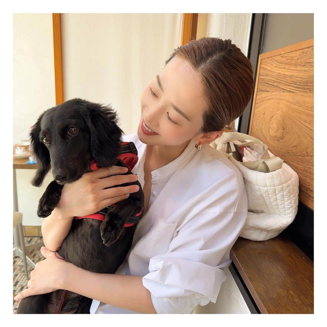 龍真咲さんのインスタグラム写真 - (龍真咲Instagram)「りーくんと🐶❤️  Babyも可愛いけど長男LICHTも可愛い🐶❤️  2人の時間も作ってます🫧  わんちゃんねこちゃんがいながらお子さんがいらっしゃるご家庭、上の子がいらっしゃるご家庭にも読んでもらいたい絵本です。少し泣けるけどその気持ちにお互いが寄り添える絵本☺️ わたしも、少し救われました🫧  #親バカ部  #わんこのいる生活  #カニンヘンダックス #LICHT #赤ちゃんのいる暮らし  #赤ちゃんと犬」9月24日 22時42分 - masaki_ryu