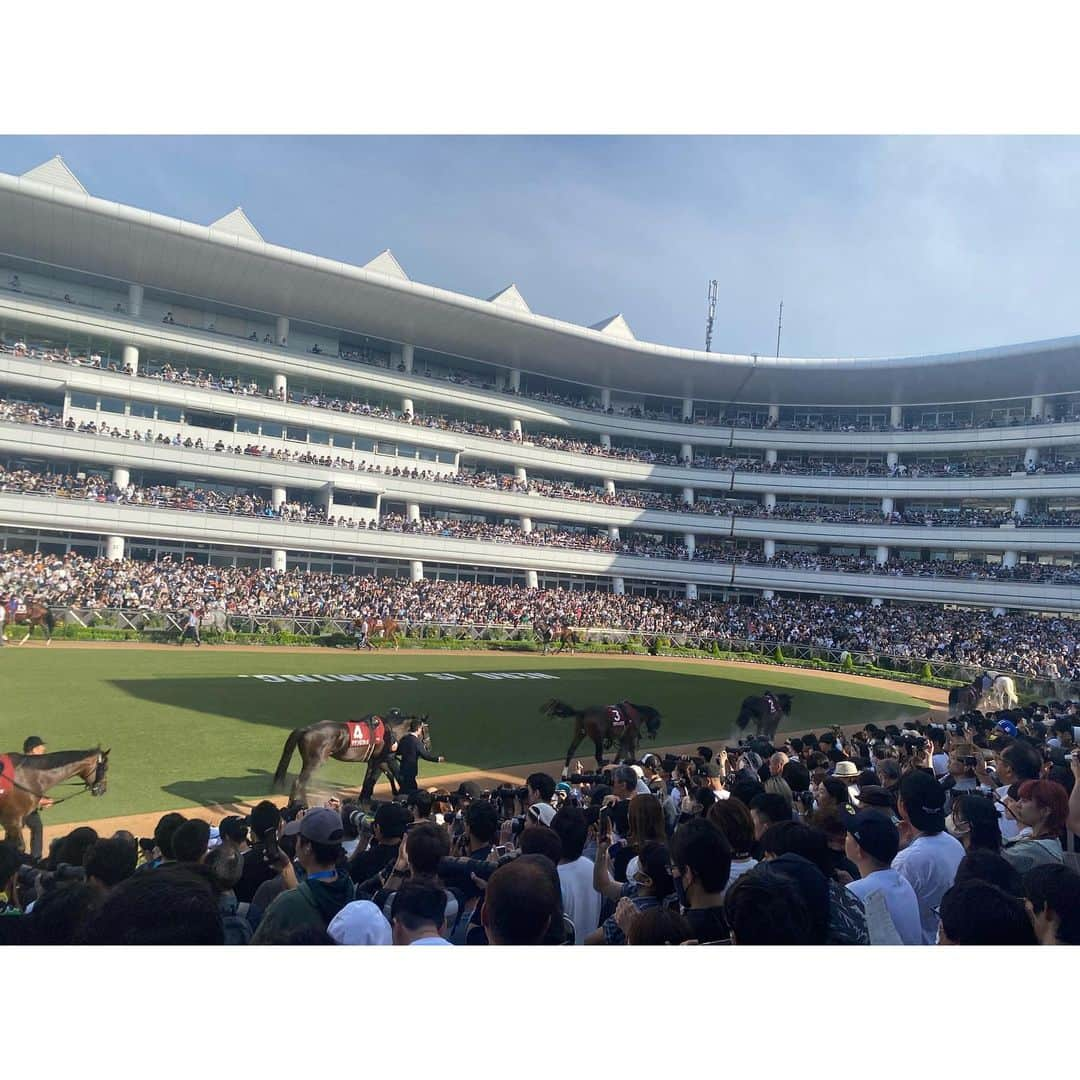 舘谷春香さんのインスタグラム写真 - (舘谷春香Instagram)「今日は中山競馬場でJRAビギナーズセミナー講師でした🐴🌟 合間に歩いていたらターフィーくん発見！ 人気者で行列出来ていたので私も並んで写真撮ってもらった🐴  今日は中山競馬場、フリーパス(入場無料)デーに加えて生ビール半額デーで凄くたくさんの方がご来場してました！ 秋晴れで涼しくて気持ちの良い競馬日和！  パドックも大混雑でしたー！ メインレースのオールカマー勝ったのはローシャムパーク🐴 軸にしていたので少しだけ勝ちました💓  競馬場のお仕事は本当に勉強になって毎週楽しいです🐴🌟  #JRA #競馬 #中央競馬 #オールカマー #競馬女子 #競馬好き #競馬好きな人と繋がりたい #競馬好きと繋がりたい #umajo #ウマ女 #中山競馬場 #船橋法典 #船橋 #競馬場 #ターフィー #ターフィーくん」9月24日 22時51分 - tty0250hrk