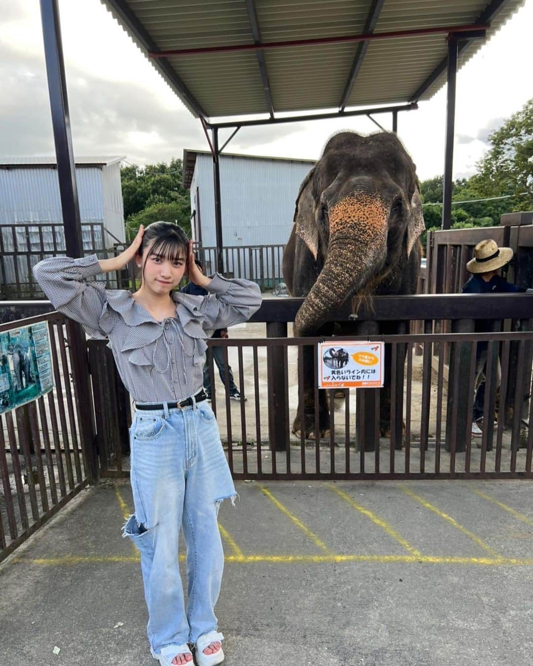 芹澤もあのインスタグラム：「#もあのコーデ ⁡ みてー！ゾウさんと写真撮ったの！🐘  #サファリパーク #動物 #ゾウ さん  #高校生#高校3年生 #ljk #jk3#06#ukka #芹澤もあ」