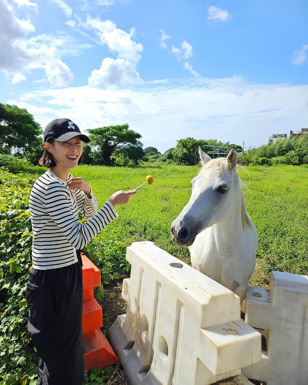 イ・ヒョニのインスタグラム：「제주 2박3일🍊🐴🥕🔥🌿💕 #할라타플레이스제주」