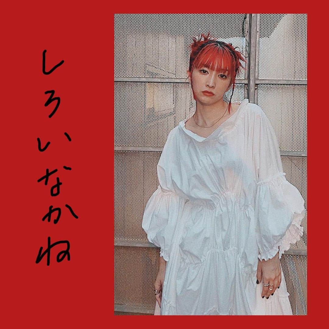 のインスタグラム：「しろいなかねです。」