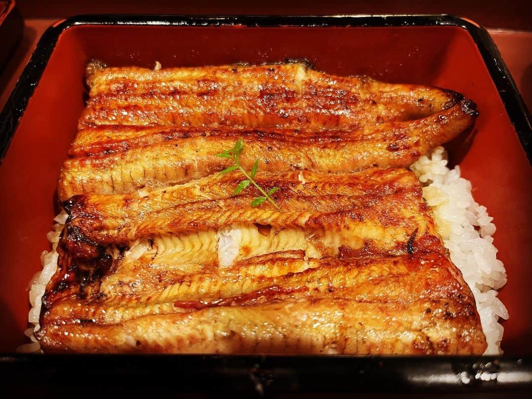 ですよ。のインスタグラム：「うなぎ食べちゃって…  あーいとぅいまてーん！ #ですよ #プロ謝罪師」