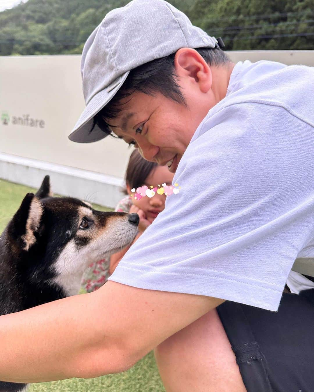 井上和香さんのインスタグラム写真 - (井上和香Instagram)「. 今日は涼しくて過ごしやすいお天気で、夏の終わりを感じる朝でしたね。 暑いのは辛いんですが、秋を感じるとなぜか少し寂しさを感じました🥲  さて、今日はご報告！ 我が家に新しい家族が増えました🐶 黒の柴犬の5歳の女の子💕 名前は、『めかぶ』といいます！  このInstagramにも何度も登場していたトイプードルのもんちゃんが我が家にいましたが、 2020年2月19日に天国へ旅立ってしまいました。 2月6日に15歳のお誕生日を迎えて約2週間後のことでした。 当時はあまりのショックにその事実を伝える事が出来ませんでした。  もう2度と犬は飼えないかも…  と思って過ごしてきました。 でも時が経ち、少しずつ心が落ち着いてきた頃、姉からアニフェア @anifare_tokyo という保護施設のことを教えてもらい、何気なくインスタを見てみると可愛いワンちゃんがたくさんいて毎日癒されていました🥰 その中でこのめかぶと出会い、家族と相談をして家族に迎えることになりました✨ 娘も妹ができた！と、毎日めかぶのご飯を用意してくれています💕 しっかりお姉ちゃんやってます。笑  5歳の柴犬なので、しつけを教えるのは大変でかなり苦労してますが😅💦 とってもおとなしい優しい子なので、家族みんなめかぶに癒してもらっています！ めかぶ自身も、家に来た時は不安そうな顔をしてましたが、今ではどこでもゴロゴロ寝るようになり安心してくれてるのかな？と感じています🤣💕  これからちょくちょくインスタに登場すると思うので、どうぞよろしくお願いします😘  トイプードルと違い、毛がこんなに抜けるの⁉︎ と毎日驚いてますが、新しい発見を楽しみながら一緒に暮らしていこうと思います♪  もうすぐ換毛期ですね！（もうすぐじゃなくて今なのかな？） それにビビりながら、いい掃除機タイプのブラッシングができるヤツを買おうとネットで探してる今日この頃です😄💦  ちょっと長くなりましたが、読んでいただきありがとうございました❤️  #柴犬 #黒柴 #めかぶ #家族紹介 #これからよろしくお願いします」9月24日 14時56分 - inoue_waka