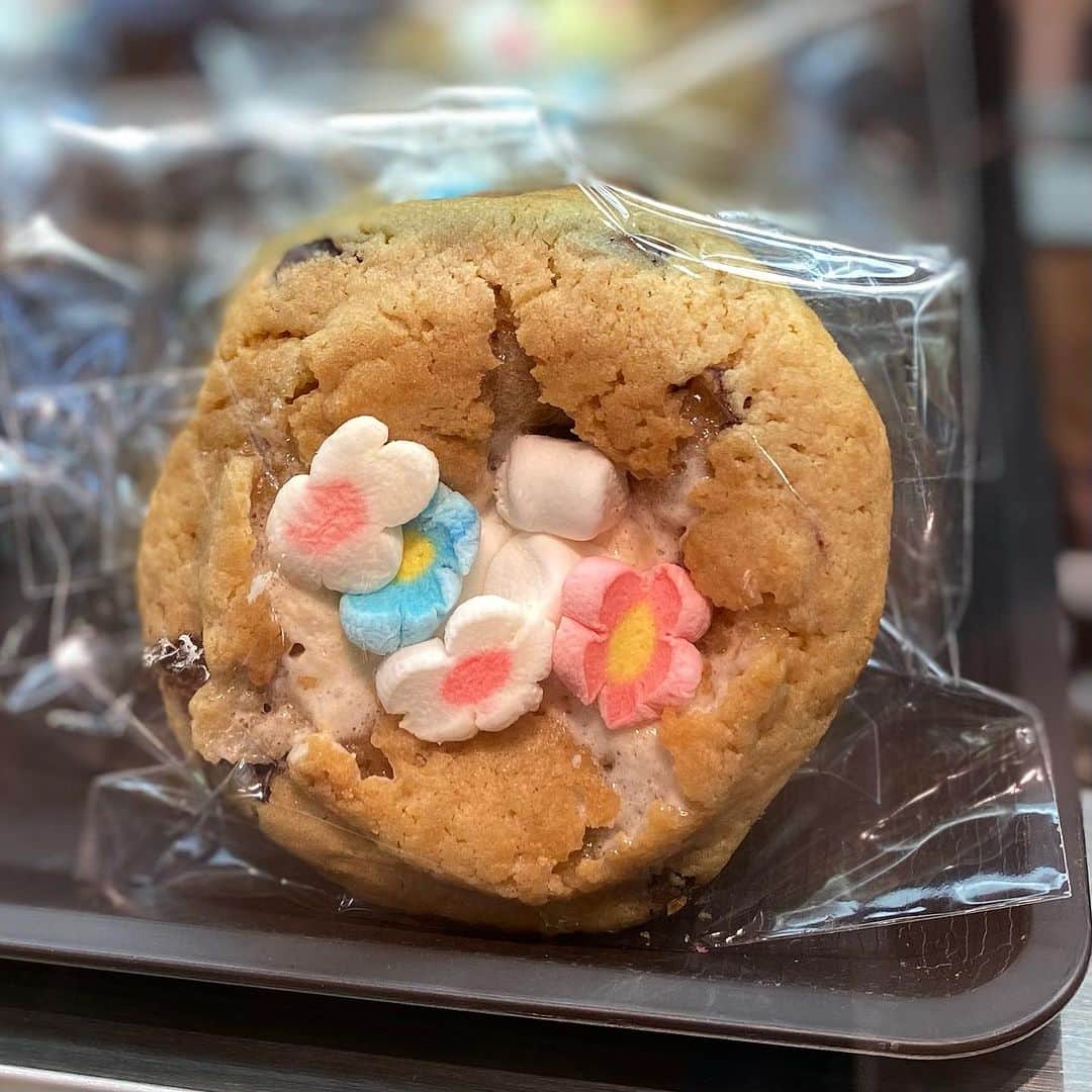 のインスタグラム：「ポップでキュートで ちょっと怖い  本日最終日をむかえたアメリカクッキー専門店「CHUNKY & CHEWY」。  一足早いハロウィンをイメージしたクッキーの数々は国産発酵バター、国産黒糖、北海道産小麦粉などこだわり抜いた材料を使って自社工房で毎日心を込めて手作りされています。  ゴツゴツした見た目からは意外なしっとりした歯触り。 美味しさと大きさに満足されること間違いなしです。  日曜日を締めくくるスイーツにいかがですか。  【INFORMATION】 CHUNKY & CHEWY ■会期：2023年9月22日（金）〜9月24日（日） ■場所：枚方T-SITE1階 ■時間：10:00〜20:00  #枚方tsite #枚方tサイト #枚方t_site #枚方蔦屋書店 #chunky&chewy #クッキー」