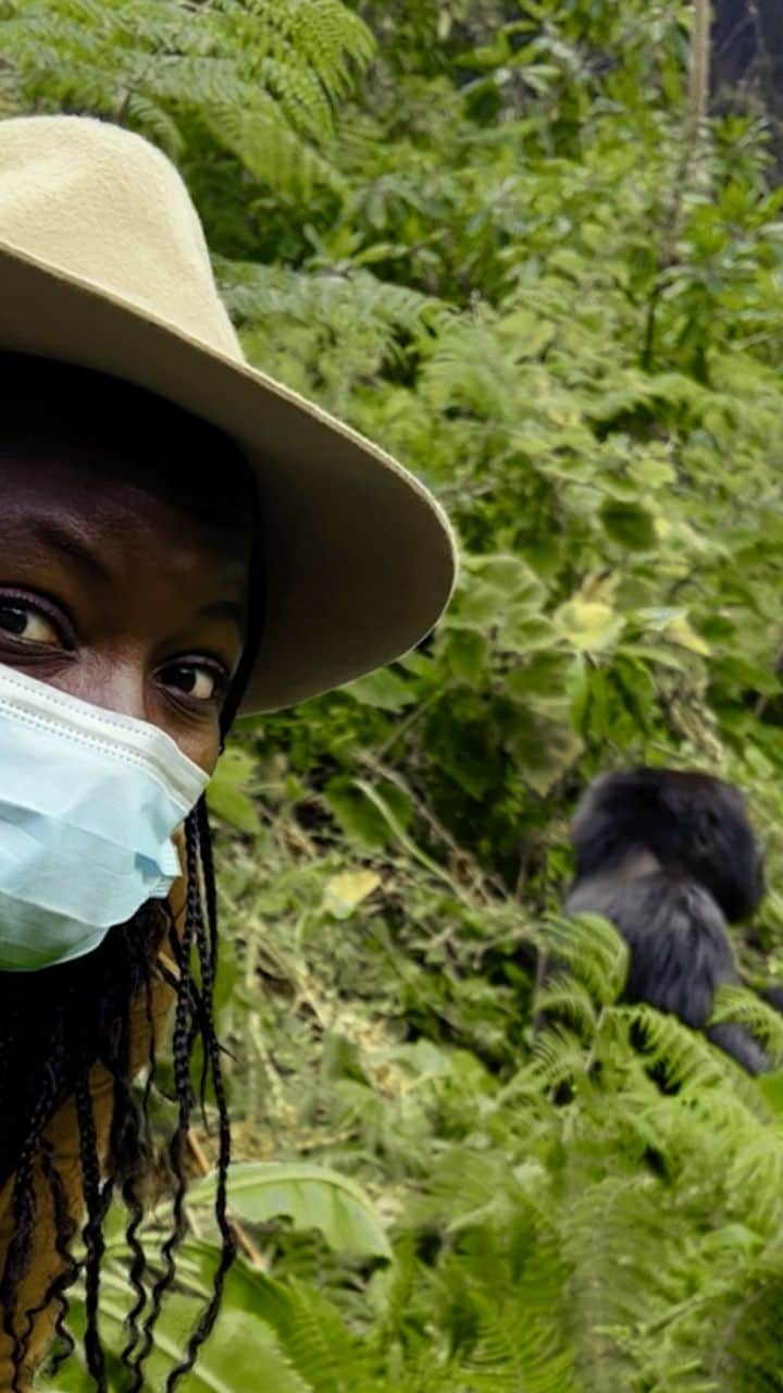 ダナイ・グリラのインスタグラム：「On #WorldGorillaDay, @danaigurira and the team at @wildafricafund are deeply inspired by the remarkable efforts of gorilla conservationists and the awe-inspiring animals themselves, all brought to life through Danai’s captivating adventure while visiting Rwanda (@visitrwanda_now)! 🦍🇷🇼   Did you know that gorillas display many behaviours and emotions strikingly akin to our own? Remarkably, we share 98.3% of our genetic code with these incredible animals!   The gorilla population has been declining for decades, primarily due to their low reproductive rate. A female gorilla typically gives birth to only 3 to 4 offspring in her lifetime, underscoring the urgent need for gorilla conservation. Rwanda is a leader in this area, with their annual Kwita Izina being a way to bring awareness to these astounding creatures and preserve and protect them.   Danai visited Rwanda to attend the Business of Conservation Conference in Kigali and the Kwita Izina Gorilla Naming Ceremony at Volcanoes National Park. During the latter event, she was honoured with the opportunity to name one of the 23 baby gorillas born in the last year. With great affection, she chose the name Aguka T'Challa as a touching tribute to Chadwick Boseman. Aguka is the gorilla’s Rwandan name, meaning Expansion. 🙏 Three years after Chadwick’s passing, Danai wished to honor his memory, and the timing of the ceremony was especially significant as it took place during his memorial week.   During her speech, Danai's beautiful tribute was made clear by the following statement.   "...my dear brother Chadwick Boseman, whose love and appreciation for this continent shines brightly in the legacy that he left behind."  Join us in commemorating #WorldGorillaDay and protecting Africa’s astounding wildlife heritage. 🤝   Credit to @kwita.izina for footage of Danai’s heartfelt speech.  #GorillaConservation #RwandaGorillas #Gorillas #Apes #RwandaTourism #DanaiGurira #WildAfricaFund #WorldGorillaDay #AgukaTChalla」