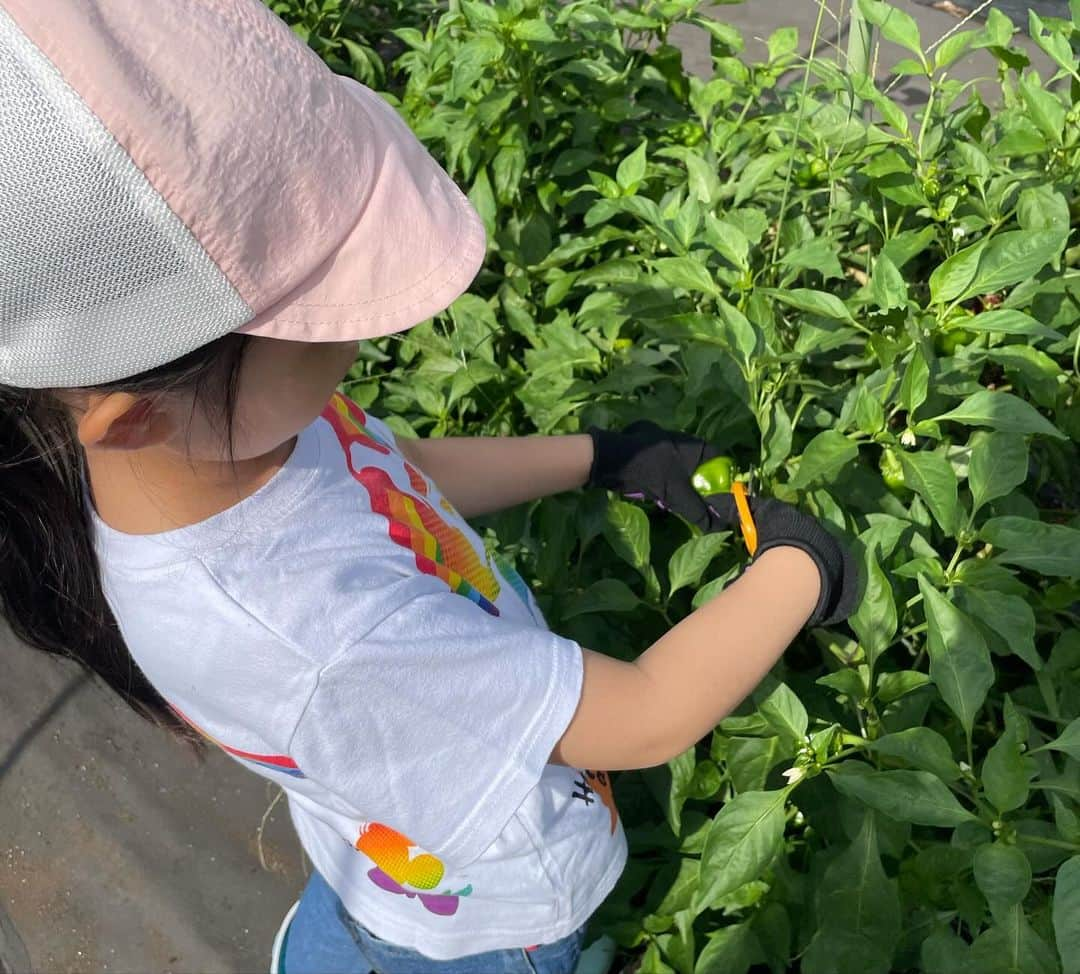 大島由香里さんのインスタグラム写真 - (大島由香里Instagram)「大収穫！ 都内で5種類の野菜収穫とブドウ狩りができる場所へ娘と ドロドロになって楽しかった  #野菜 #野菜収穫 #ぶどう狩り #ピーマン #人参 #ゴーヤ #さつまいも #空芯菜  #ぶどう #母娘」9月24日 17時52分 - yukari__oshima