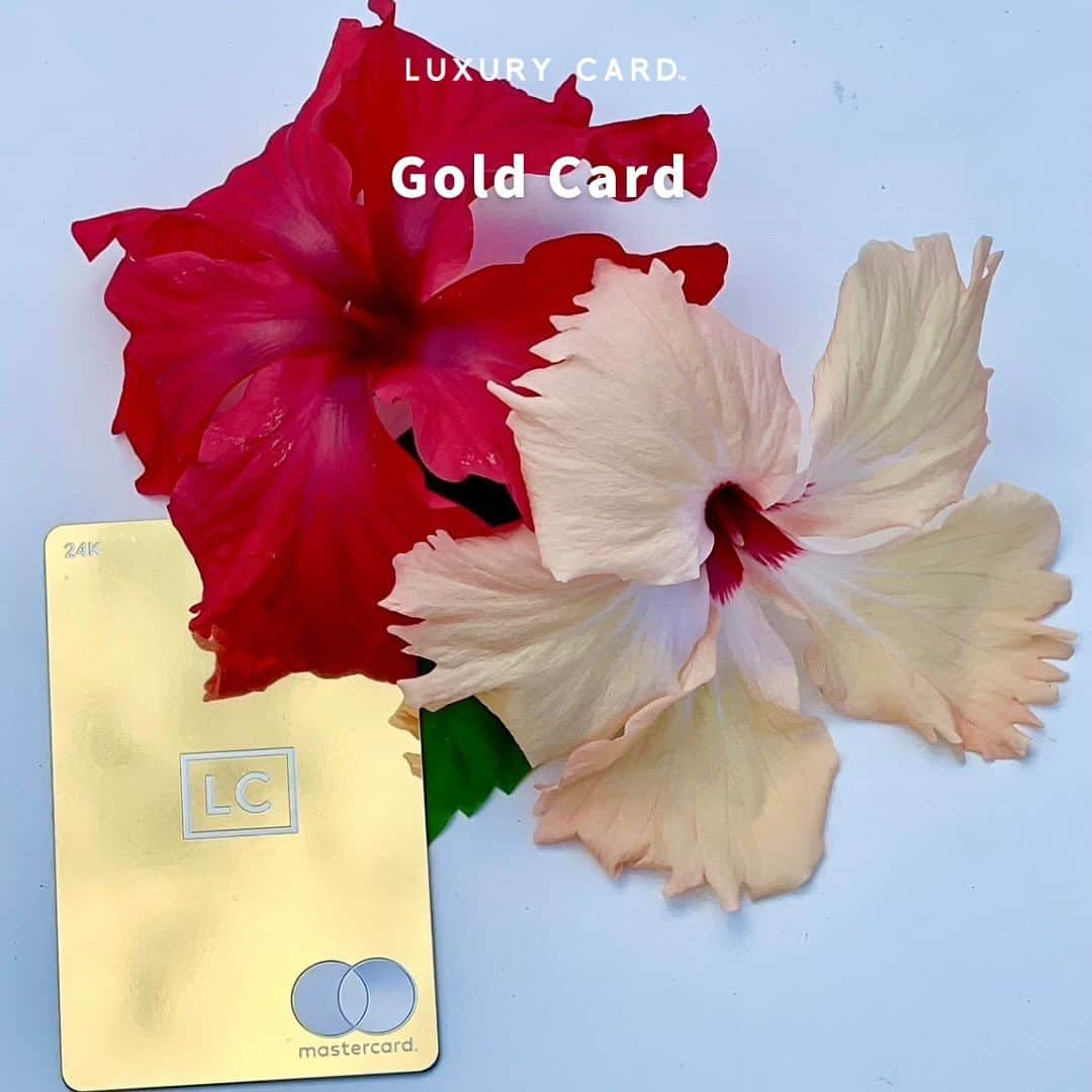 Luxury Card Japanさんのインスタグラム写真 - (Luxury Card JapanInstagram)「【正解した人にはDMが届きます✨】 ラグジュアリーカード「Gold Card」のキャッシュバック還元率は、1.5%。業界最高水準の還元率となっており、月々のお支払額へ充当いただけます。  では、ラグジュアリーカード「Gold Card」で月間200万円利用した場合、「年間」でのキャッシュバックはいくらになるでしょう？  ヒント：問題文に気をつけてください。使えば使うほどお得に！  ▶ラグジュアリーカードについてもっと知りたい方は @luxurycardjapan のプロフィールリンクからご覧いただけます。 期間限定優待やトラベル・ダイニング・ライフスタイル優待を随時更新中！  #goldcard  #ゴールドカード  #キャッシュバック  #ポイント還元 #クレジットカード  #クレカ #クレカ管理 #クレジットカード見直し #クレジットカード決済 #クレジットカード比較 #お得情報 #お得 #お得生活  #ポイ活  #ポイ活初心者  #ブラックカード #チタンカード  #ラグジュアリーカード」9月24日 18時11分 - luxurycardjapan