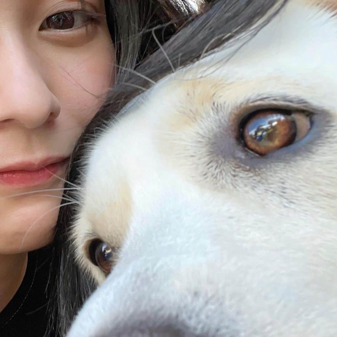 鈴木絢音のインスタグラム：「ラブちゃん」