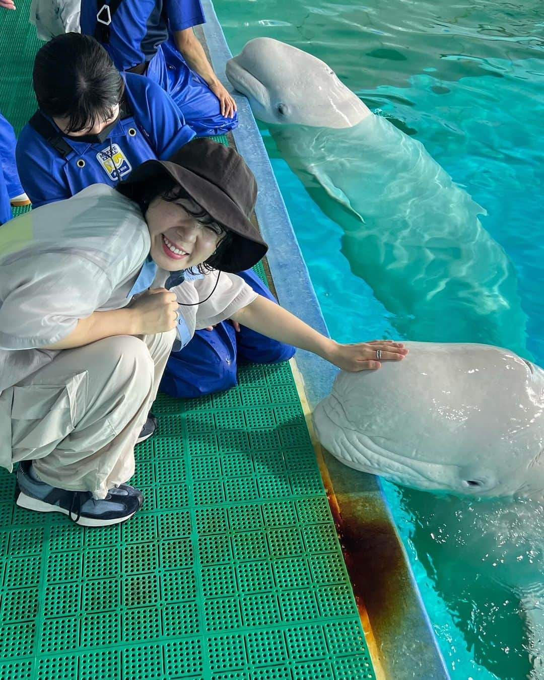 光永さんのインスタグラム写真 - (光永Instagram)「9月頭に小川とANONと行った、鴨川シーワールドの思い出を載せさせてもらうよ🚗💨 念願のシャチに会えて、ベルーガも初めて触って、夢のシャチ一望レストランも行けて、隅々まで癒されました🐬🩵はー呆れるほど楽しかった😮‍💨 動物たち、なんであんなにデッカいん？意味わからん🥹🫶ほんまONE PIECEの海王類やん😮‍💨 はー幸せ。 YouTubeも上がったので観てください📱 ㅤㅤㅤㅤㅤㅤㅤㅤㅤㅤㅤㅤ #鴨川シーワールド #鴨川シーワールドシャチ #ベルーガ #シャチ #水族館 #fyp #kamogawaseaworld」9月24日 18時47分 - hinata_official__