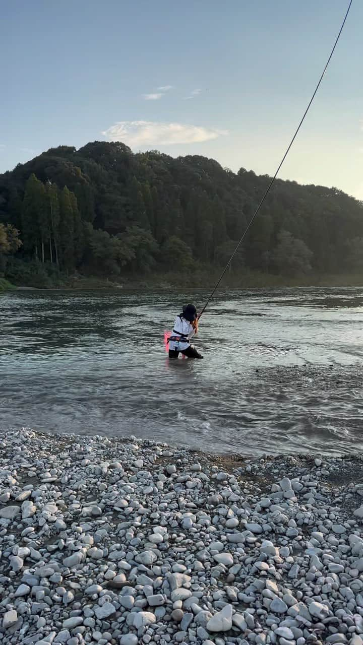 宮田亜夢のインスタグラム：「やっぱり尺鮎チャレンジはダイナミックだ😎  宮田亜夢の尺鮎チャレンジじらし編  #尺鮎　 #大鮎  #sweetfish  #polefishing   #鮎釣り #鮎 #友釣り #延べ竿 #ライトスタイル #ダイワ  #DAIWA  #宮田あゆ #釣り #fishing #fishinglife #fishingday  #낚시 #川 #渓流 #渓流釣り  #camp #清流 #outdoor #outdoors #nature #naturelover #japanesestyle」