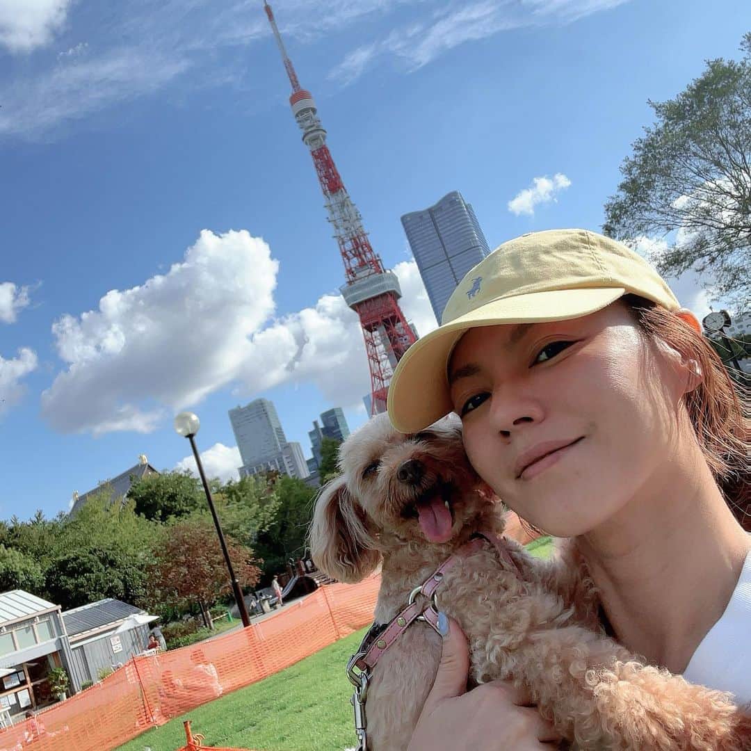 LINAのインスタグラム：「最近は セレブと公園巡りにハマってます♡ 今日のお散歩コースは 芝公園まで...。 この頃 セレブがご近所のお散歩コースに 飽きてて 「またこの道かぁ...」って 言わんばかりに 嫌々歩くんですよ！笑 なので、時間のあるときは 車を走らせてお散歩に行くと 足取りも軽く ご機嫌な顔で歩くんです。 初めての場所の匂いを嗅いだり お友達と会話したり 私たち人間と一緒で 犬も刺激になってるみたいです。 #MAXLINA #セレブ」