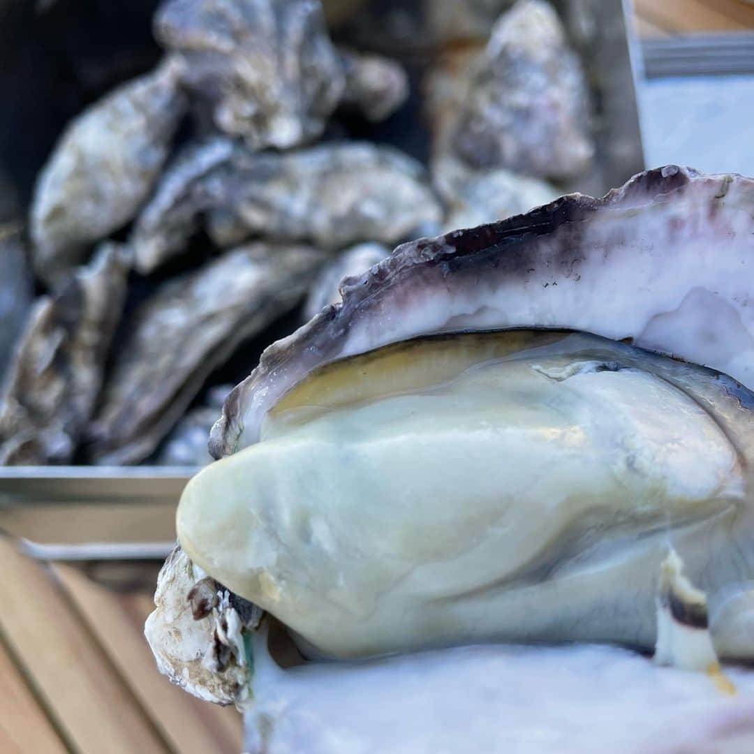 ちひろさんのインスタグラム写真 - (ちひろInstagram)「牡蠣🦪  実は人生初牡蠣🦪！  初めて食べたけどぷりぷりっとしてて柔らかくて美味しかった😋 ポン酢で食べたらあっさりで、牡蠣のうまさも味わえて🤤 みんなで牡蠣パした🎉🎉🎉  コンロで8分〜温めるだけでスグに食べれちゃうから早いっ楽チン！  軍手と牡蠣をひらくナイフ？も付いてくるからそのまま冷凍庫で食べたい時に食べれるからすごくいい😌  是非みんなもお家で牡蠣堪能して✨  @sea_foodjunky 🦪   #牡蠣  #カンカン焼き  #シーフードジャンキー  #牡蠣パーティ  #食レポ  #とろとろ  #ぷりぷり  #初牡蠣  #おいしい  #グルメ」9月24日 18時59分 - chihiro_grm