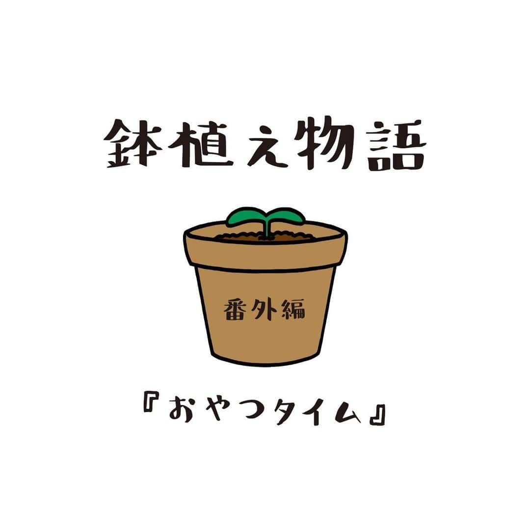 いとうちゃんのインスタグラム：「鉢植え物語番外編🪴 マンドレイクと過ごす秋🍁 おやつタイム🍩頭の部分が島っぽい🏝☺️  ★お知らせ★ オーダーメイドはんこのご注文のお受付は明日9/25（月）にて締め切らせていただきます✨ご注文下さった皆様ありがとうございます😊お届けまでお楽しみにお待ちくださいませ🙏  いとうのWEBショップはプロフィールのURLの「WEBショップ」ボタンよりご覧いただけます👀  #いとうちゃん #厭うちゃん #4コマ漫画 #コミックエッセイ #漫画が読めるハッシュタグ #鉢植え物語 #マンドレイク #マンドラゴラ #ドーナツ #おやつタイム」