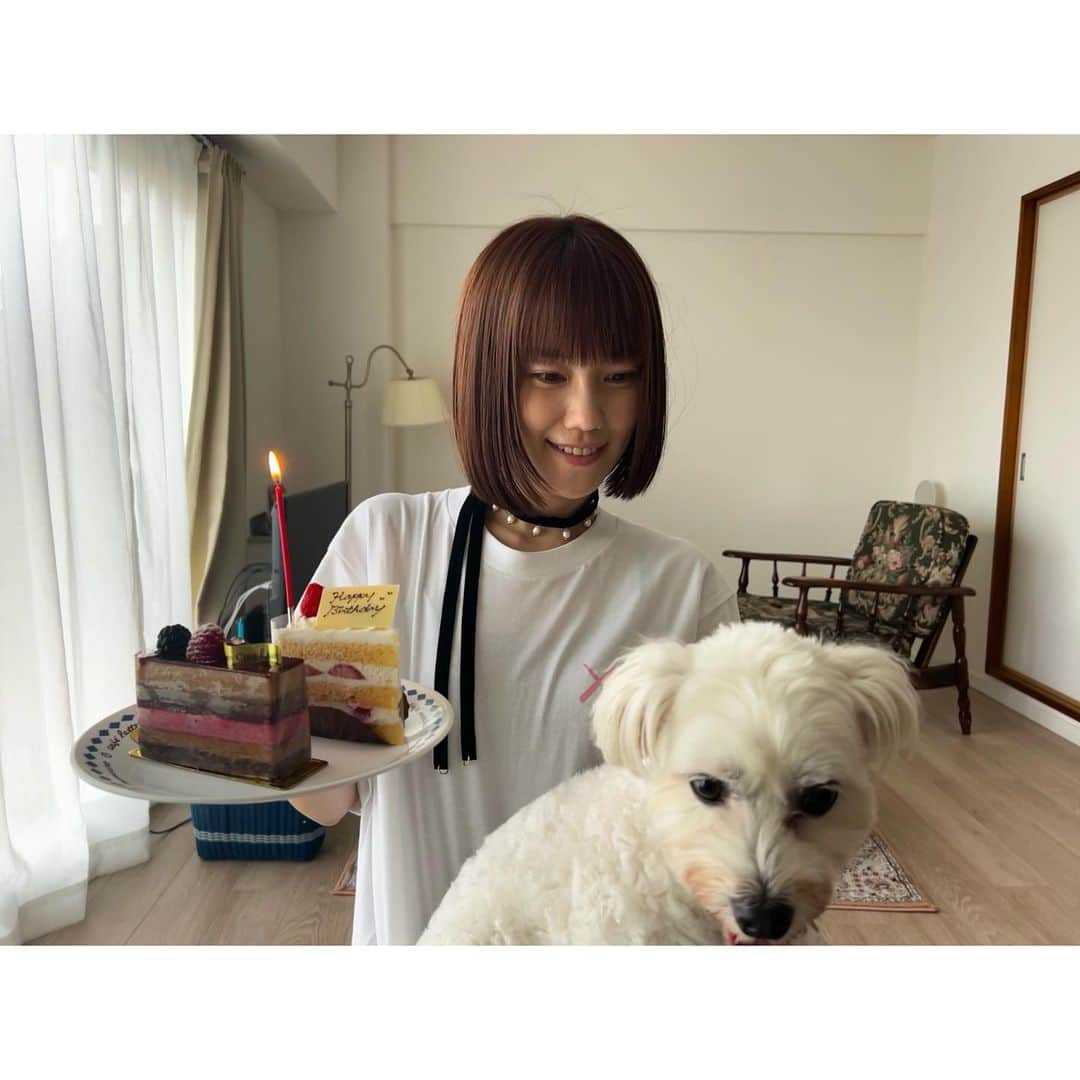 田中こなつさんのインスタグラム写真 - (田中こなつInstagram)「🌼」9月24日 19時41分 - konatsu_tanaka