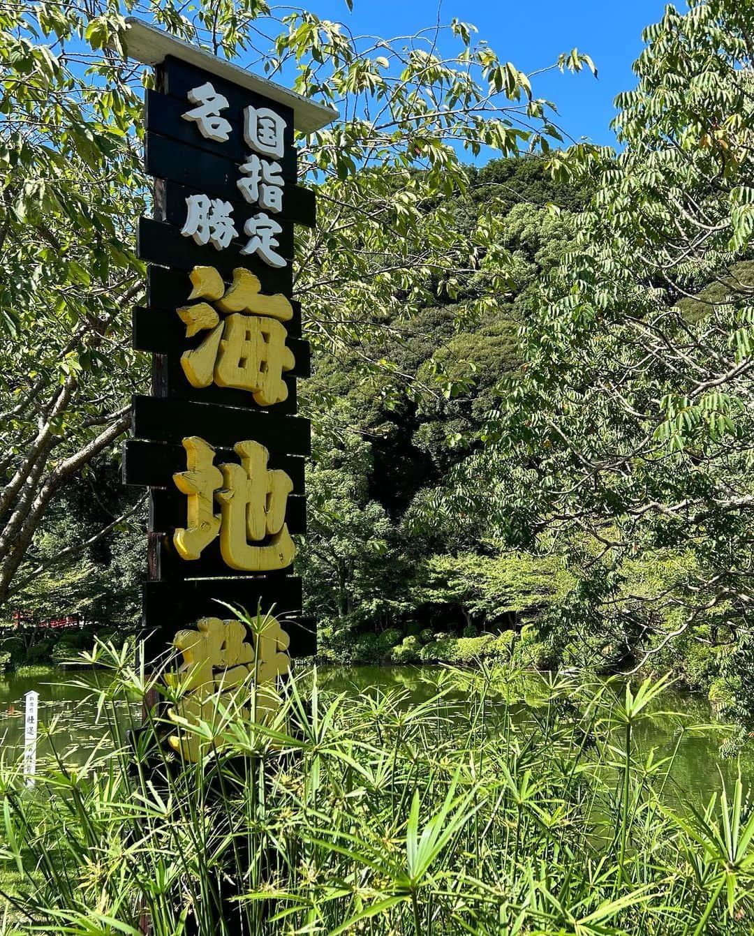  小浜桃奈さんのインスタグラム写真 - ( 小浜桃奈Instagram)「🌳夏の思い出📸  8ヶ月ぶりの別府！♨️ また行けて本当に嬉しかったし楽しかった〜👹  そして2023年12月6日に｢札束と温泉｣DVDが発売されます💿是非皆さんチェックしてください✨️   #コハマキロク」9月24日 19時49分 - momona_kohama