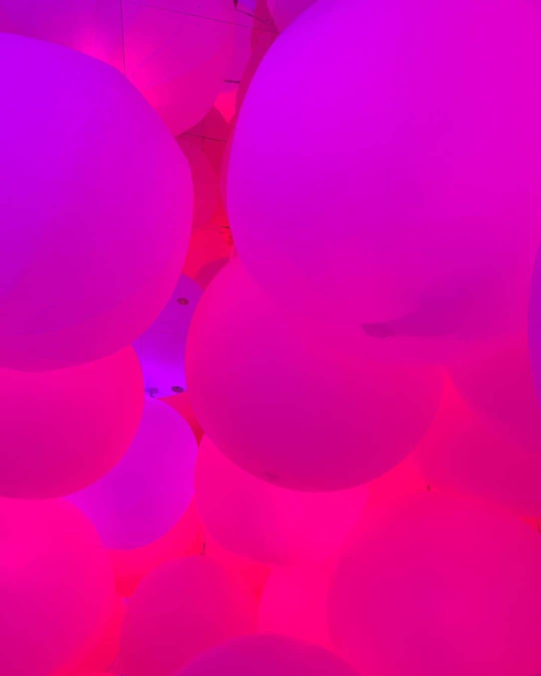 神﨑沙穏さんのインスタグラム写真 - (神﨑沙穏Instagram)「@teamlab」9月24日 20時11分 - i_am_saon