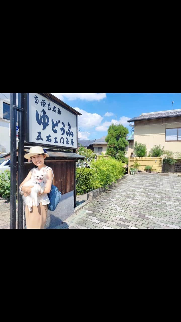 北口麻奈のインスタグラム：「先日、まっちゃと初めての旅行へ行きました🚗 京都の南禅寺→ブルーボトルコーヒー→五右衛門茶屋へ🍵 まっちゃにも湯豆腐おすそわけしました✨ #犬のいる暮らし #犬と京都 #京都旅行 #南禅寺 #南禅寺水路閣 #ブルーボトルコーヒー京都 #ブルーボトルコーヒー #五右衛門茶屋 #ポメチワ #ぽめちわ #犬とお出かけ関西」