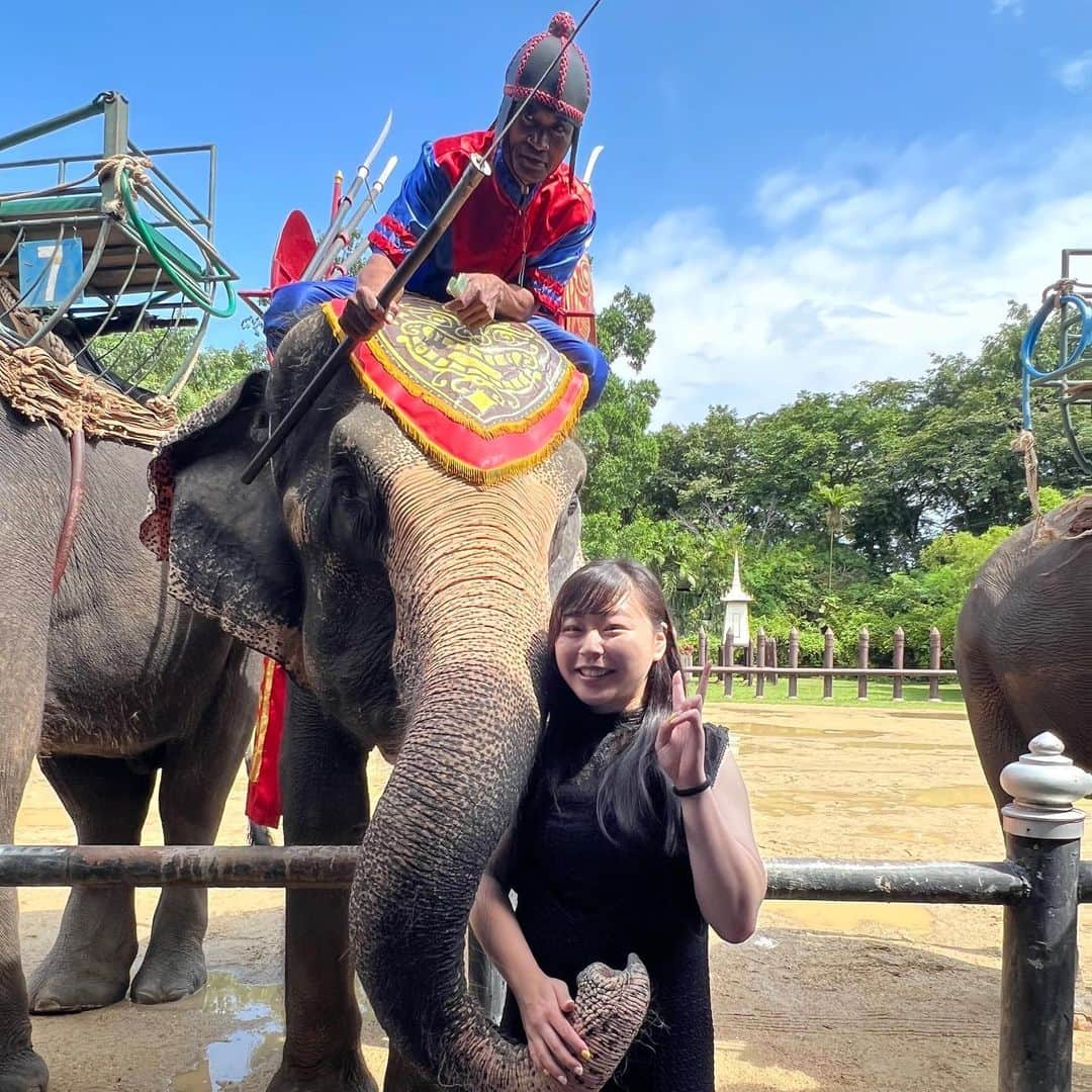 植草歩さんのインスタグラム写真 - (植草歩Instagram)「🐘🇹🇭🩷   #thailand  #thailandtravel   #タイ  #タイ旅行」9月24日 20時41分 - ayayumin0725