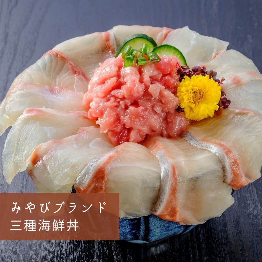 ポケットマルシェ(ポケマル) のインスタグラム：「新鮮食材を『丼』で堪能✨ ポケマル産直丼のススメ😋 . ポケマルには、様々な丼のセット商品があるんです！ ホカホカごはんの上に、生産者さんが作ったこだわりの具材をどーんとのせていただけば、至福の時が訪れます🥰 . 丼料理は時短料理としても最適◎ 夏バテ気味の体にも元気をチャージできますよ✨ 食欲の秋🍁は丼からスタートしてみませんか？ . ◆１枚目：三種海鮮丼セット(鯛・マグロ・カンパチ) スライス済なので、解凍するだけですぐ食べられる！希少部位も入った豪華な海鮮丼をご堪能ください。 . ◆２枚目：生シラウオの沖漬けと釜揚げシラスの2色丼 九十九里産のシラスを生と釜揚げ両方いただける欲張りなセット。なくなり次第終了なのでお急ぎを。 . ◆３枚目：黄金の豚かば焼き 宮城県産のバラ肉を甘みとコクがある特製タレに漬け込みました。お箸でほぐれるほど柔らか。 . ◆４枚目：媛っこ地鶏の親子丼 秘伝の出汁を使い、コクのあるモモ肉を炭火で炙った、香りの高い親子丼に仕上がりました。 . ….……………………… . 画像をクリックすると商品ページをご覧いただけます。 ポケマル公式アカウント（@pocket.marche）のリンクより、ポケマルにアクセスし、「丼」と検索すると、さらにたくさんの商品をご覧いただけます。 . ………………………… . 産直EC「ポケマル」では 📌産地直送の食材を紹介 📌生産者さんの紹介 📌ポケマルのキャンペーン を日々投稿しています！ . 投稿が気になったら、ぜひフォローをお願いします👉 @pocket.marche . ………………………… #ポケットマルシェ #ポケマル #pocketmarche #農家直送 #産地直送 #生産者応援 #産直食材 #旬 #三色丼 #二色丼 #刺身丼 #海鮮丼好きな人と繋がりたい #海鮮丼 #丼物 #鮮魚 #親子丼 #親子丼好き #豚丼 #しらす #しらす丼 #しらすご飯 #沖漬け #沖漬け丼 #秋の味覚 #食欲の秋 #食欲の秋です」